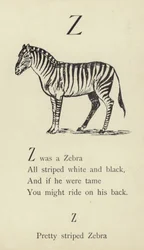 De letter Z